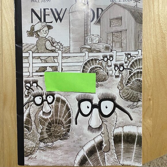 Lot Of 18 2024 NEW YORKER MAGAZINE Issues - with subscription stamps! - Picture 6 of 7